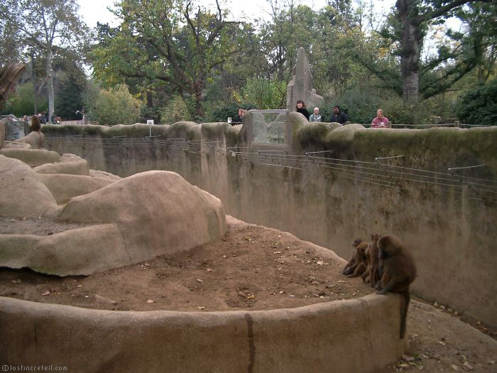 Hidden monkeys, Zoo de Vincennes, Paris